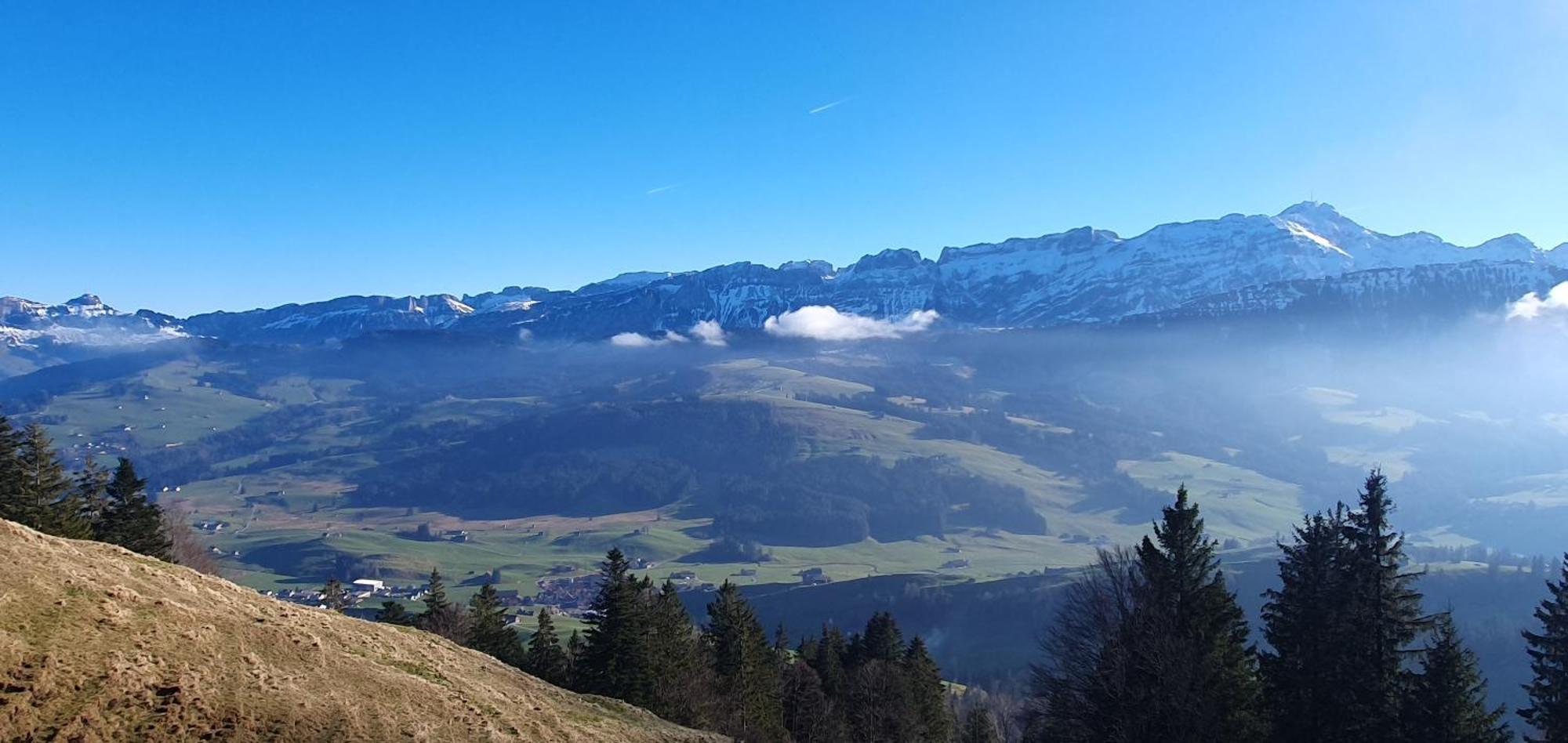 2-4 Zimmer Apartments Stilvoll Im Gertrud Schloessli - Zentral Ruhig St. Gallen Bagian luar foto