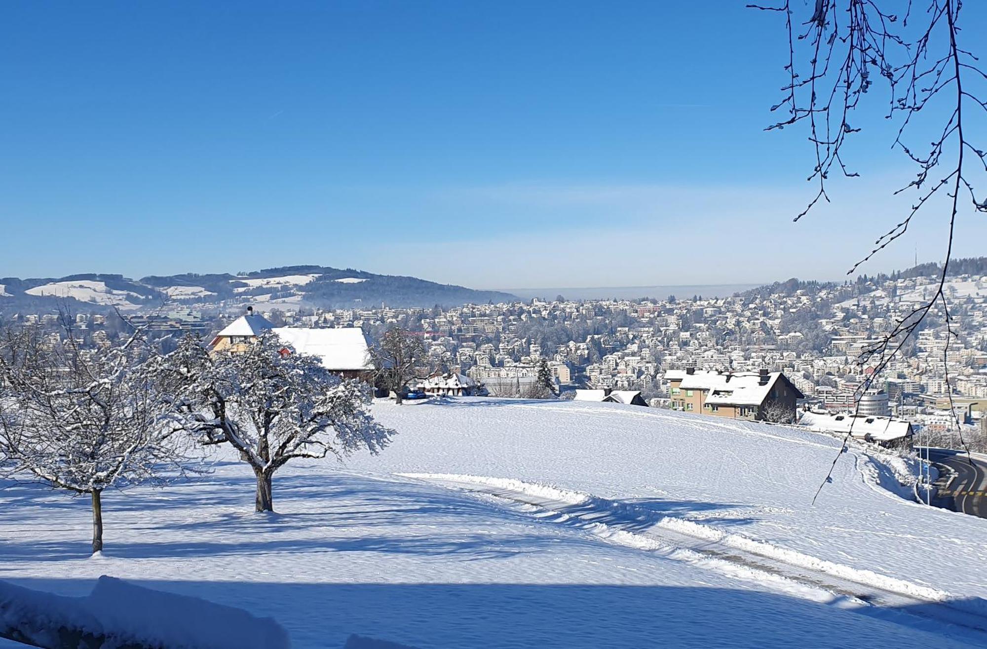 2-4 Zimmer Apartments Stilvoll Im Gertrud Schloessli - Zentral Ruhig St. Gallen Bagian luar foto