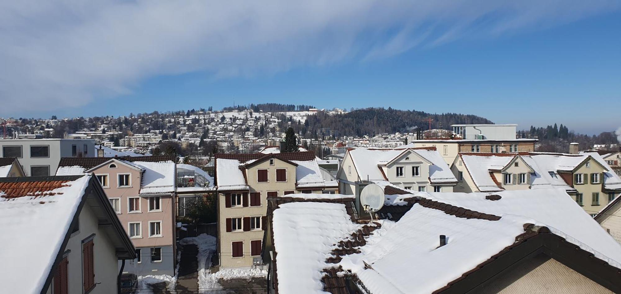 2-4 Zimmer Apartments Stilvoll Im Gertrud Schloessli - Zentral Ruhig St. Gallen Bagian luar foto