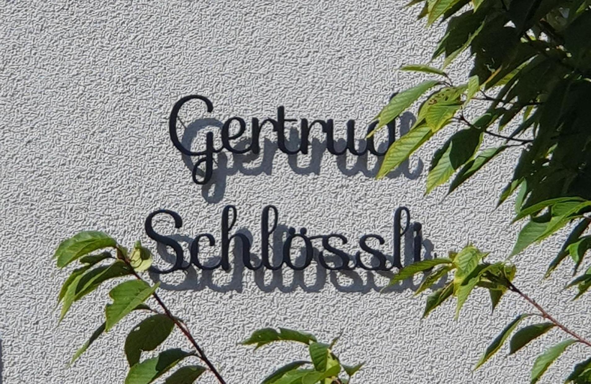 2-4 Zimmer Apartments Stilvoll Im Gertrud Schloessli - Zentral Ruhig St. Gallen Bagian luar foto