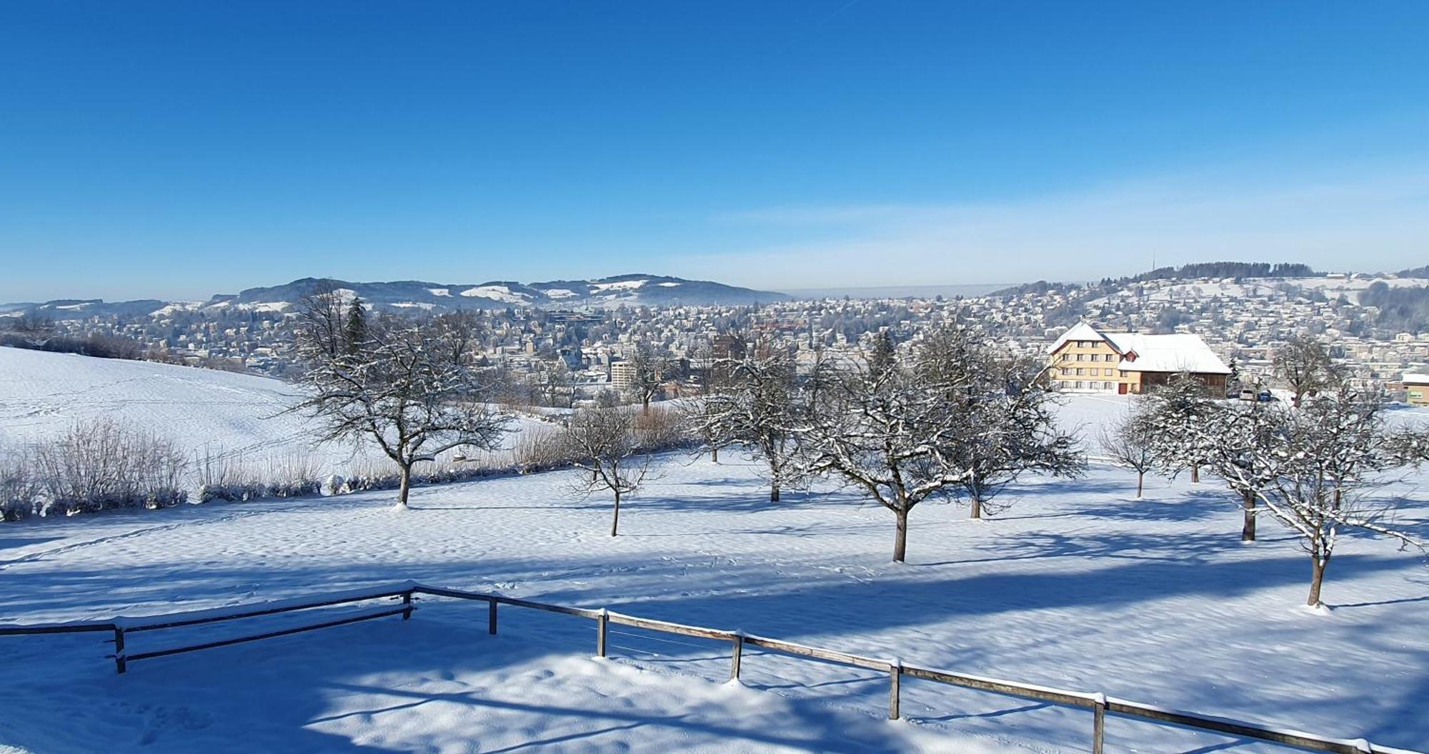 2-4 Zimmer Apartments Stilvoll Im Gertrud Schloessli - Zentral Ruhig St. Gallen Bagian luar foto
